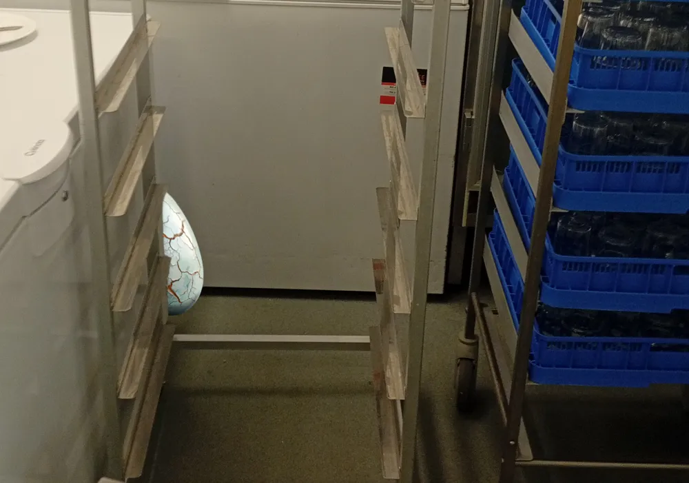 Folkhälsomyndigheten Förhistoriskt ägg i köket