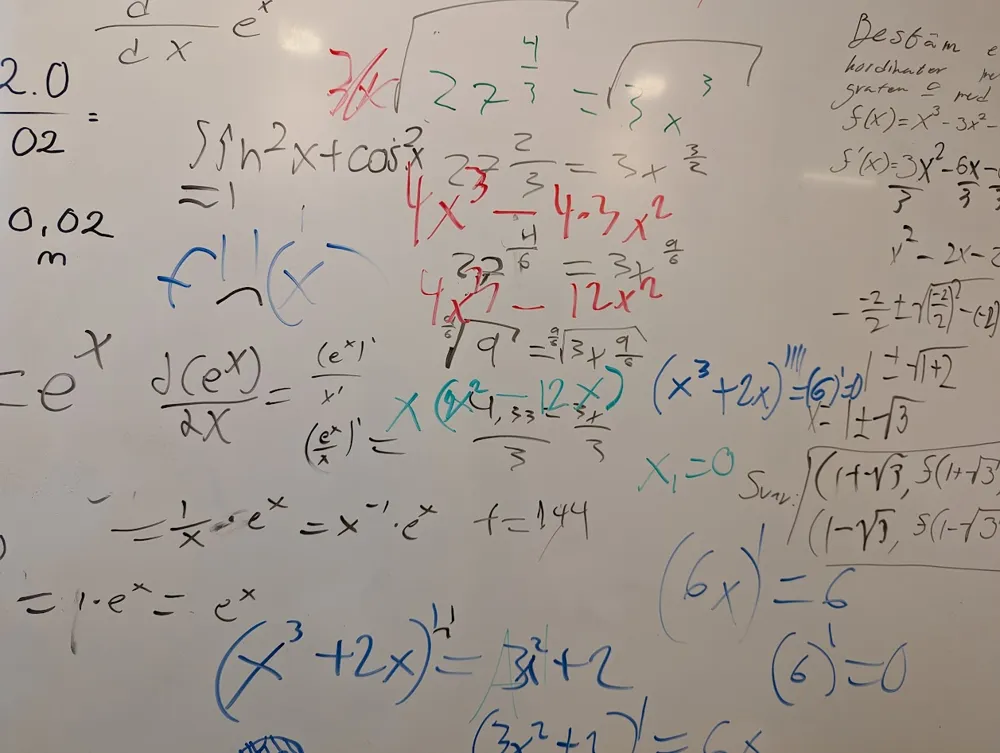 Grov rasism inom matematik 2