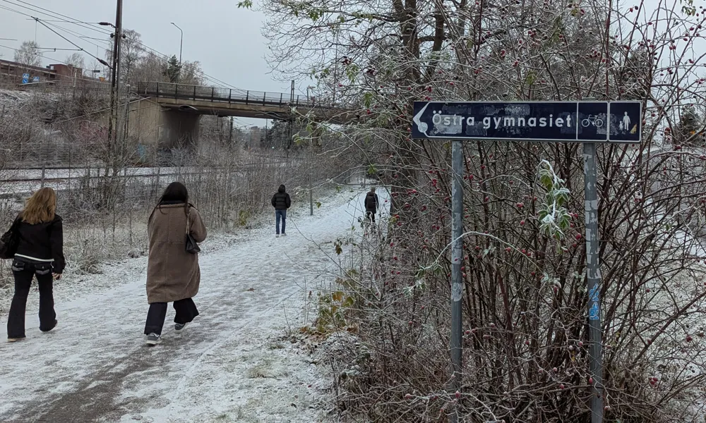 Varning Östras egen isrink är öppen för säsongen